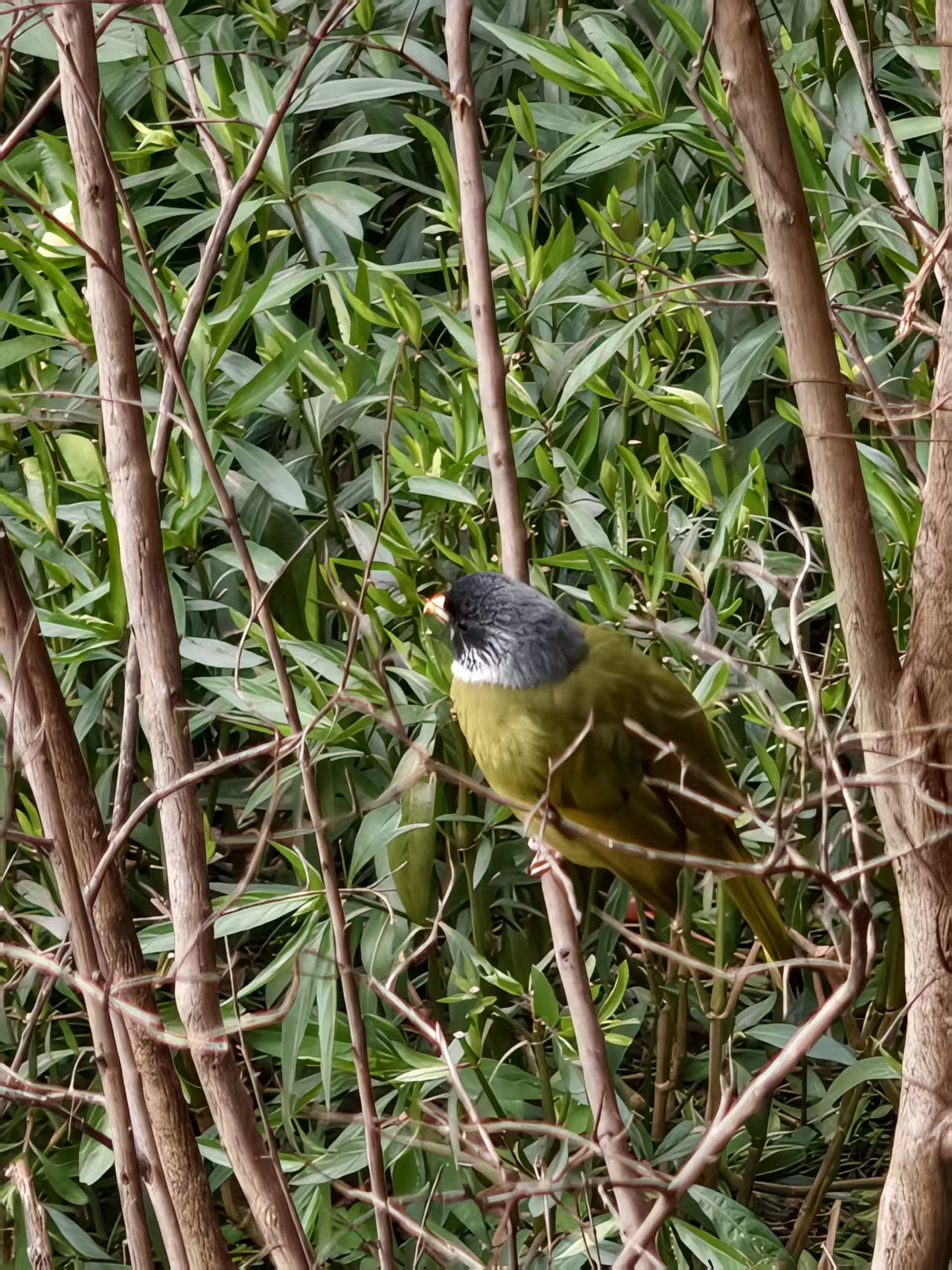 856ac0271d53ff003072bc1cfcce4dee