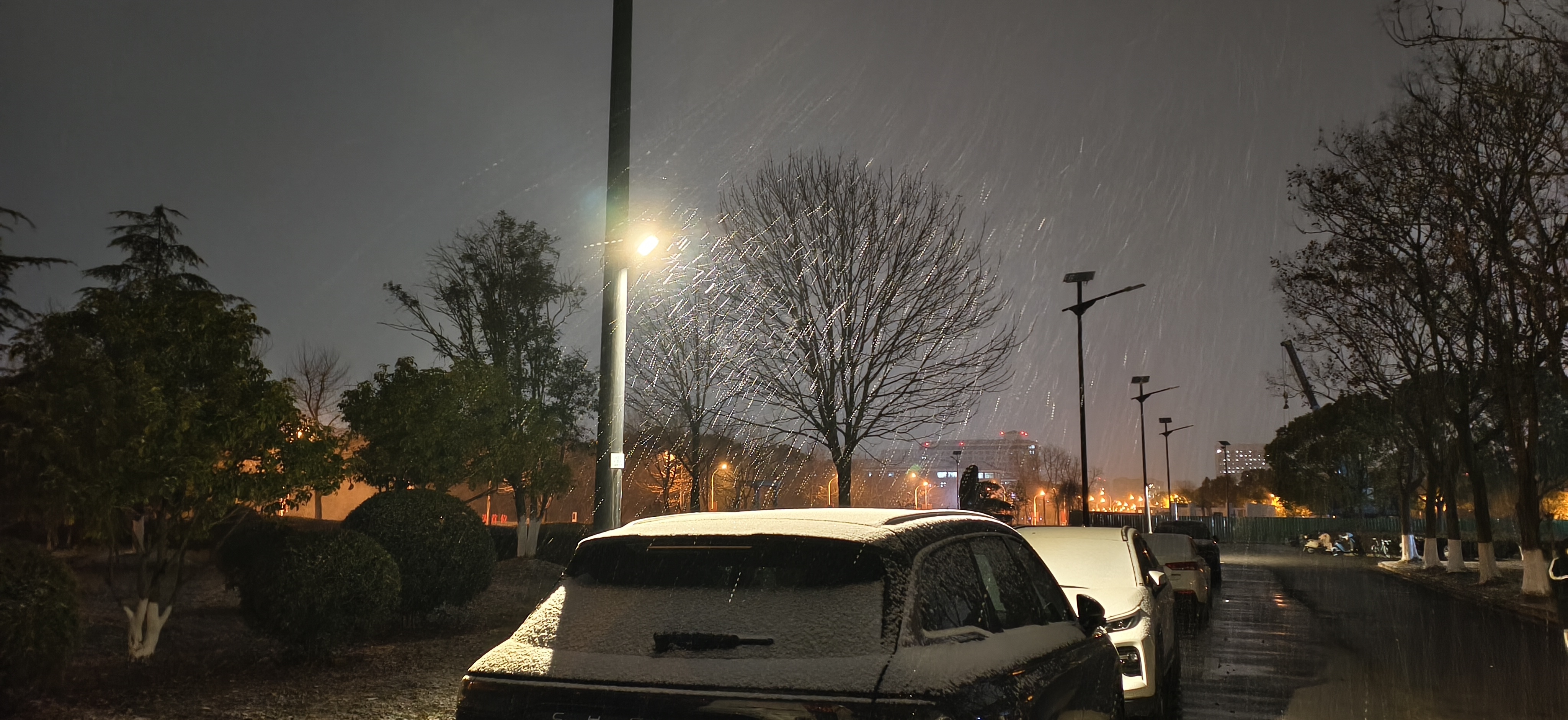 IMG_20260120_000120