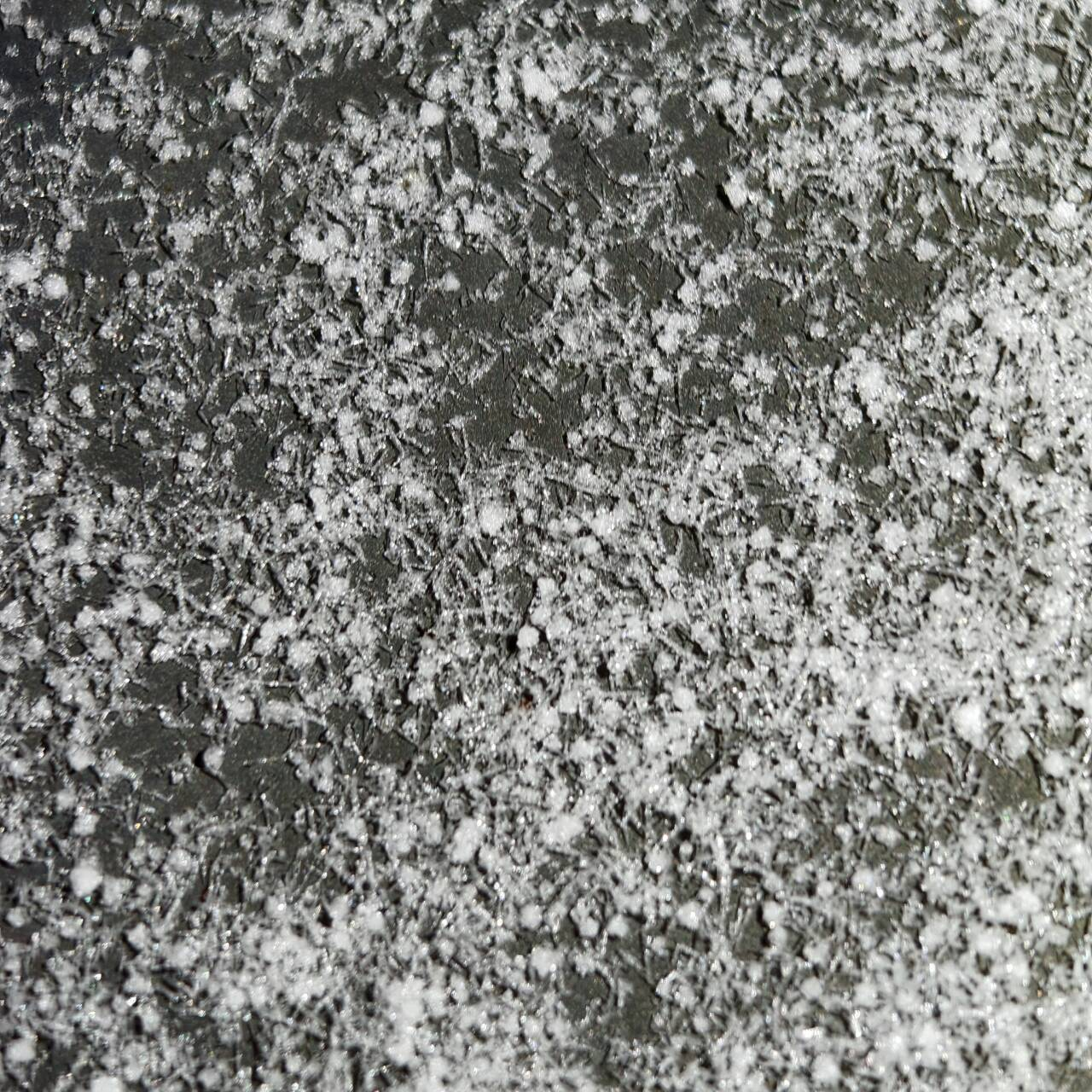 image-20260216002424586