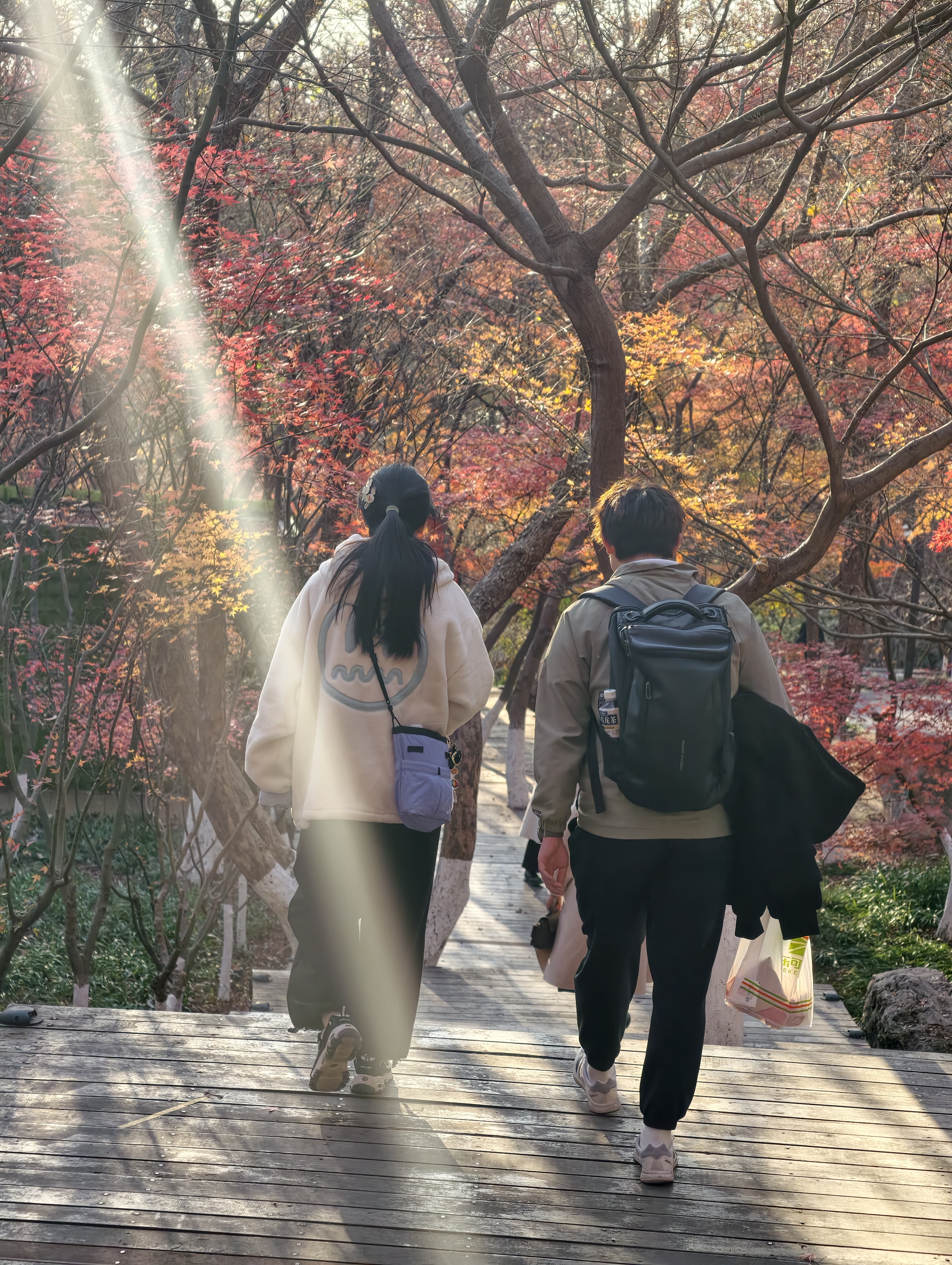 mmexport1765787275194